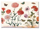 Glasögonetui. Maria Sibylla Merian